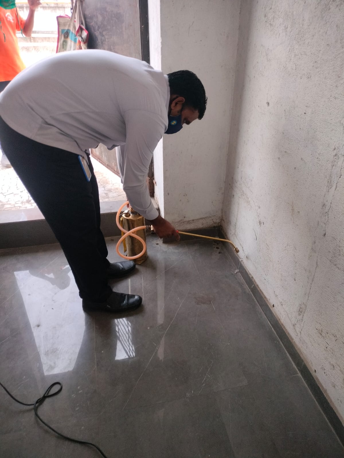 Pest Control Treatment